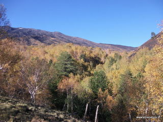 nti Sartorius-04-11-2012 09-30-28